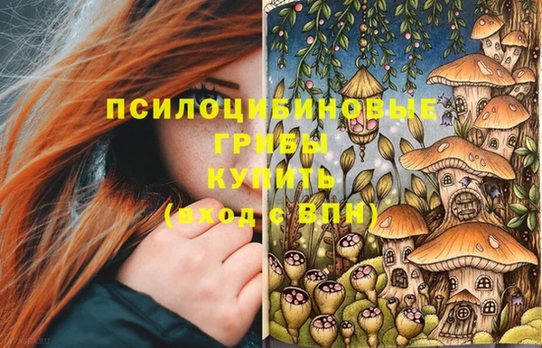 винт Абаза