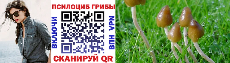 Галлюциногенные грибы ЛСД  Анадырь 